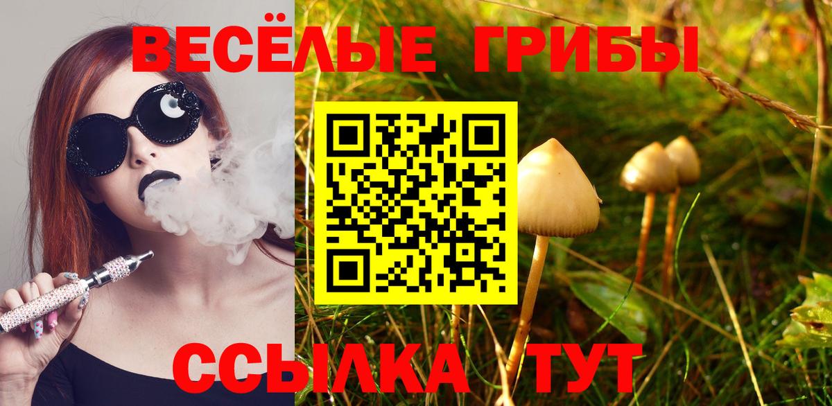 Галлюциногенные грибы GOLDEN TEACHER Северобайкальск