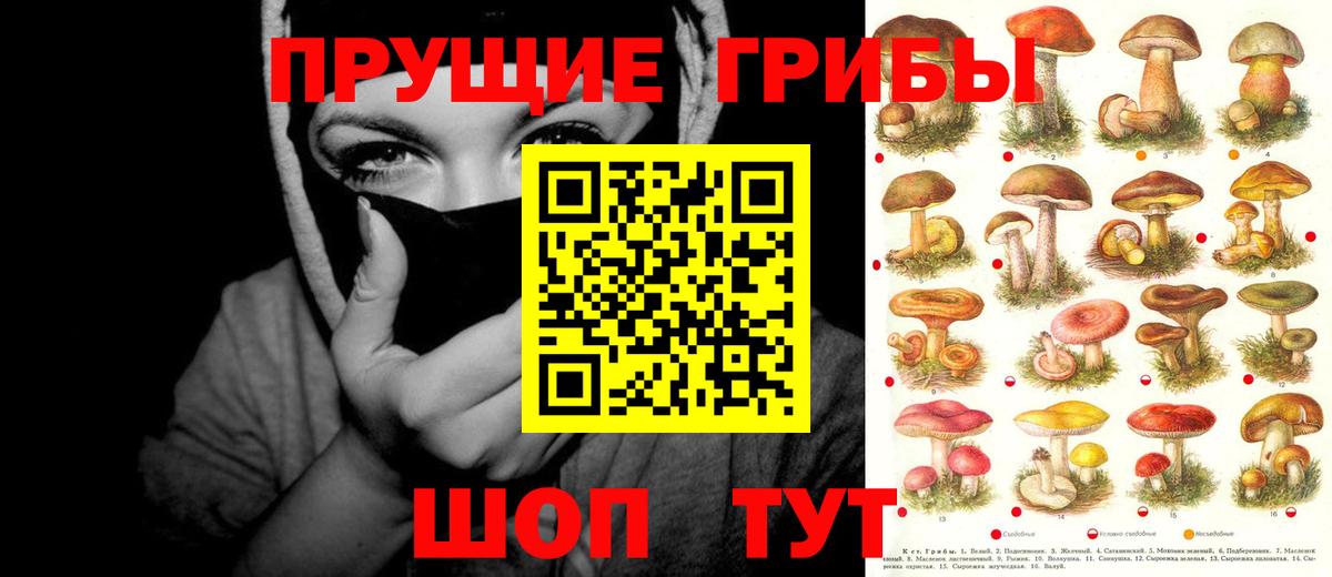Псилоцибиновые грибы прущие грибы  Вход с VPN  Северобайкальск 